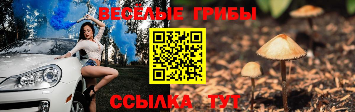 Галлюциногенные грибы GOLDEN TEACHER Похвистнево