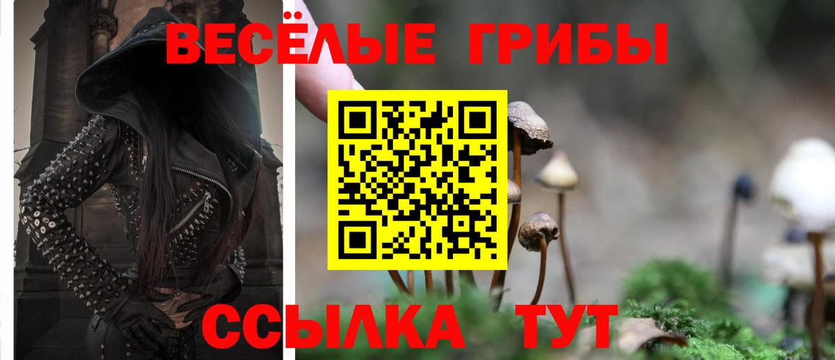 Похвистнево  Галлюциногенные грибы Cubensis  Вход с VPN 